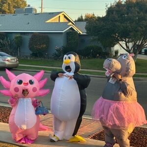 Meet your Posher, Jessy